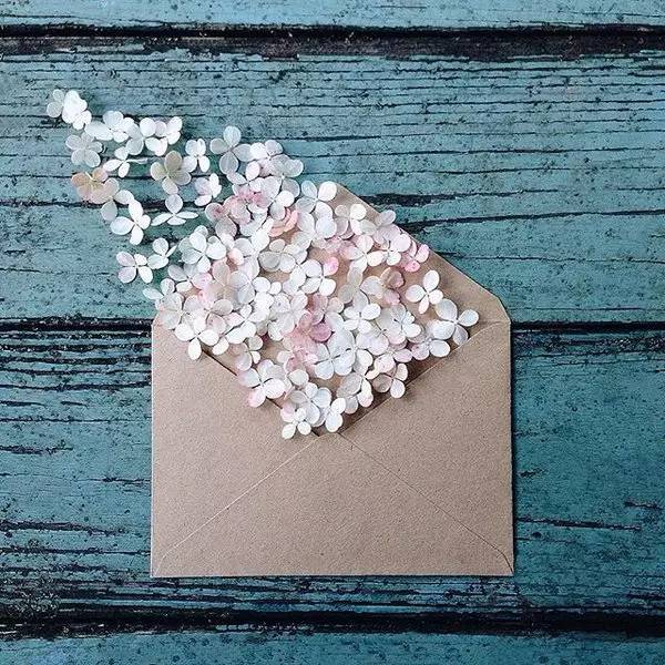 您有封信，請查收