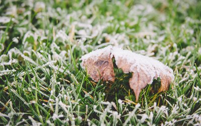 霜降｜ 秋將逝，冬將至