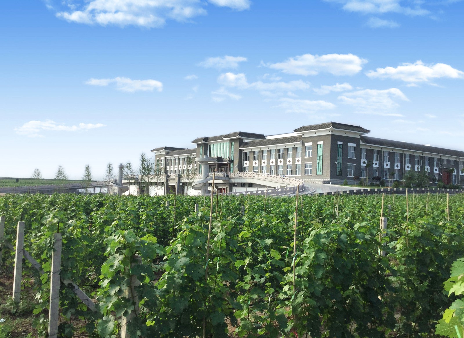 15857230545338.jpg 2.jpg