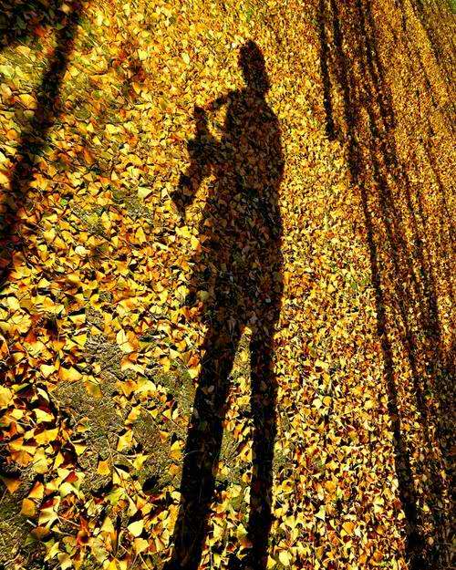 16039561359383.jpg 微信圖片_20201029085433.jpg