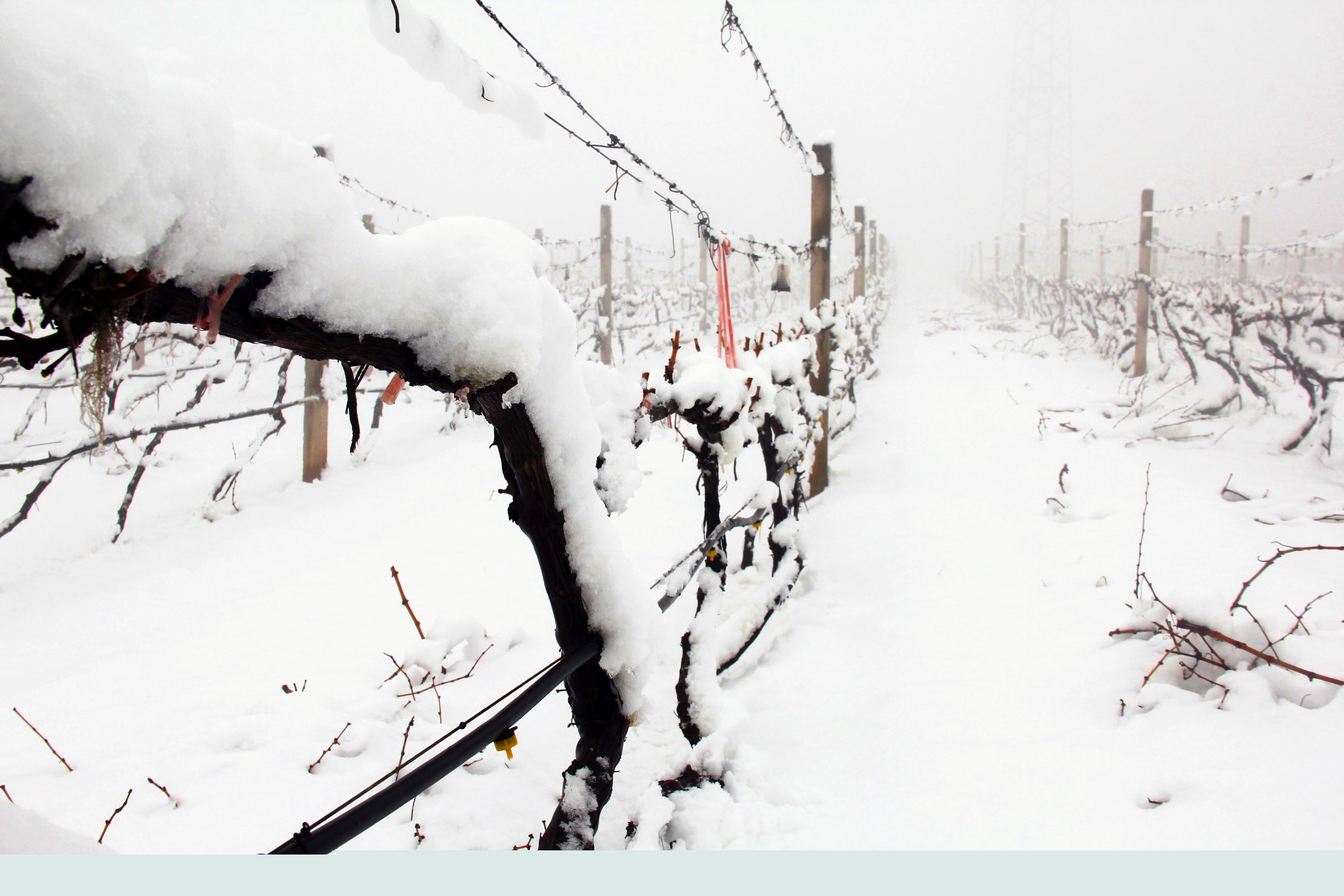 瑞雪兆豐年 ▎時光正好，歲月極美，何必覓遠方