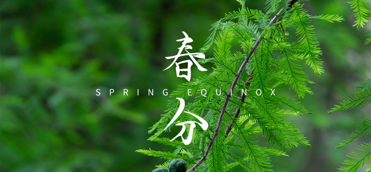 春分 ▎不負(fù)春光，萬(wàn)物生長(zhǎng)