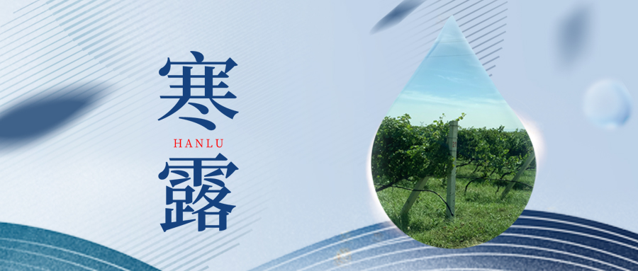 寒露丨夜露凝寒，萬物皆秋