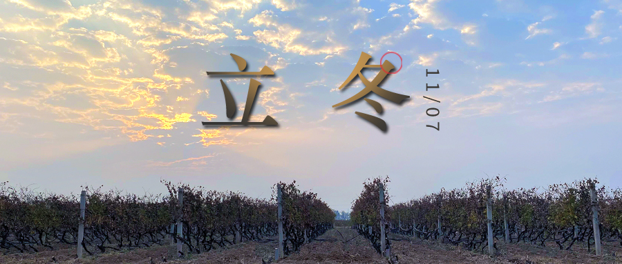 立冬 ▎四時(shí)有序，天地歸藏