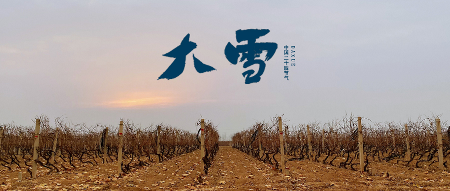 大雪 ▎世界留白，天地靜美