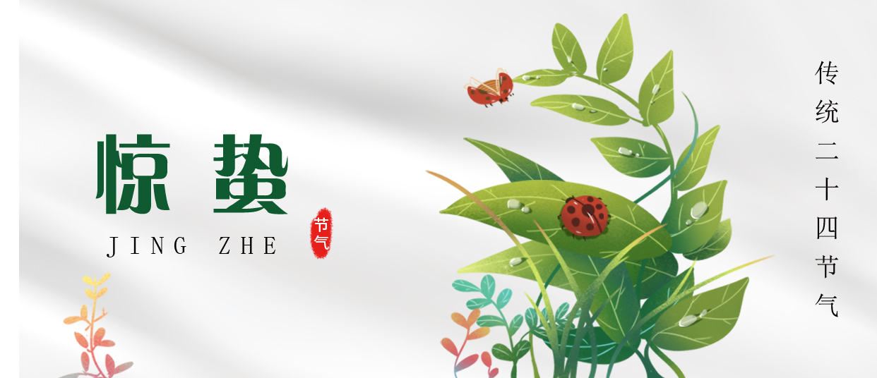 驚蟄 ▎雷鳴春醒，萬物生長